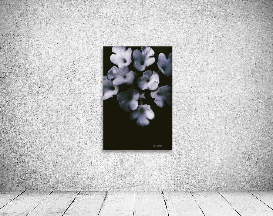 Artistic dark blue flowers in night winter garden Wall Preview