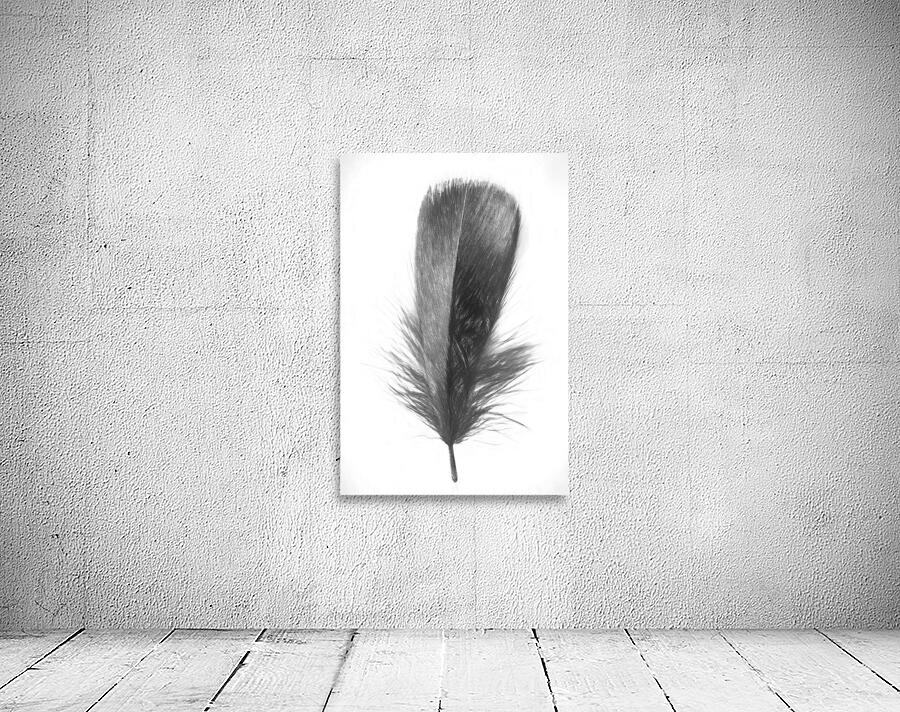 Pencil plume Wall Preview