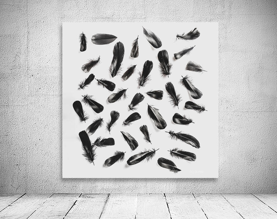 Light and dark Wall Preview