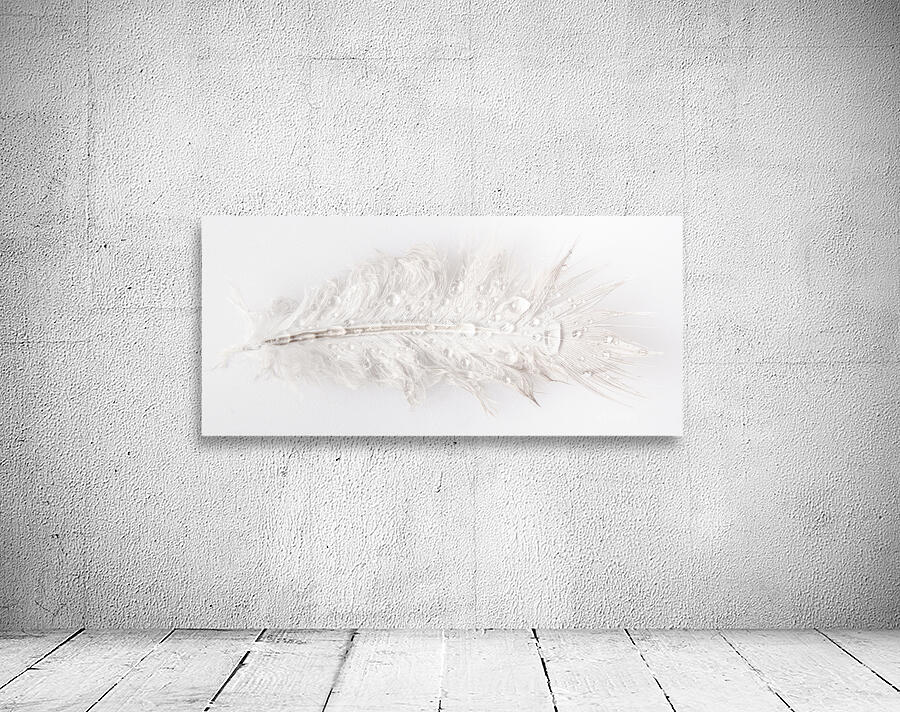 Feathery Wall Preview