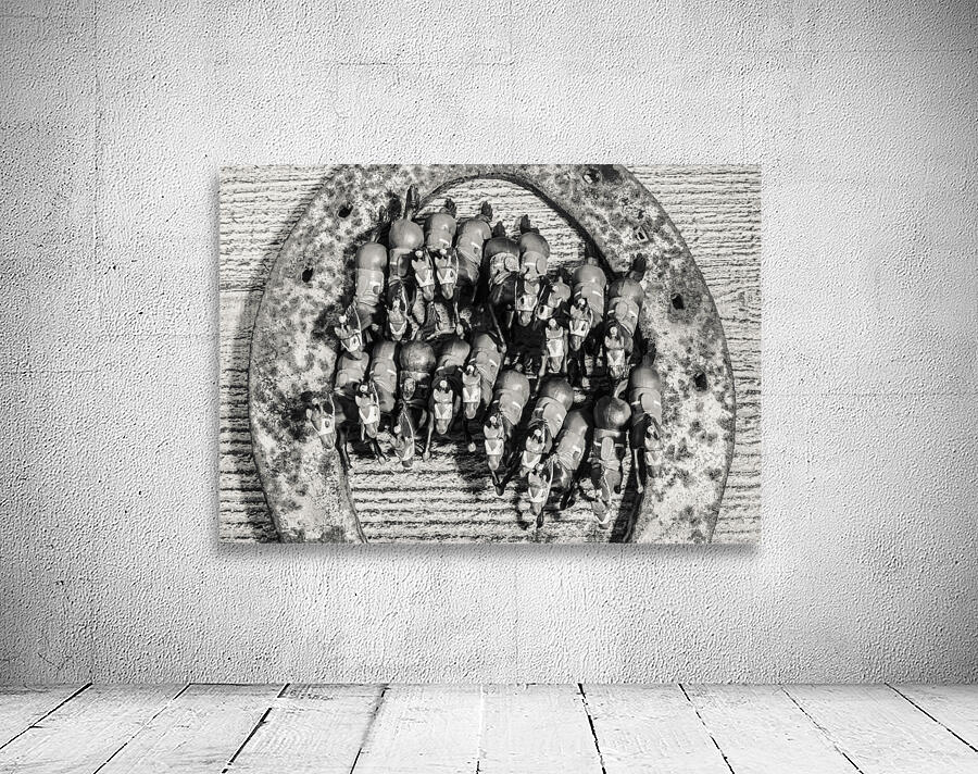 Racetacular Wall Preview