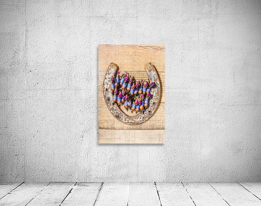 Up on the luck Wall Preview