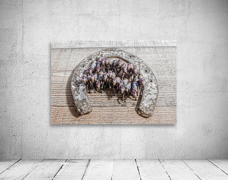 Horse play Wall Preview