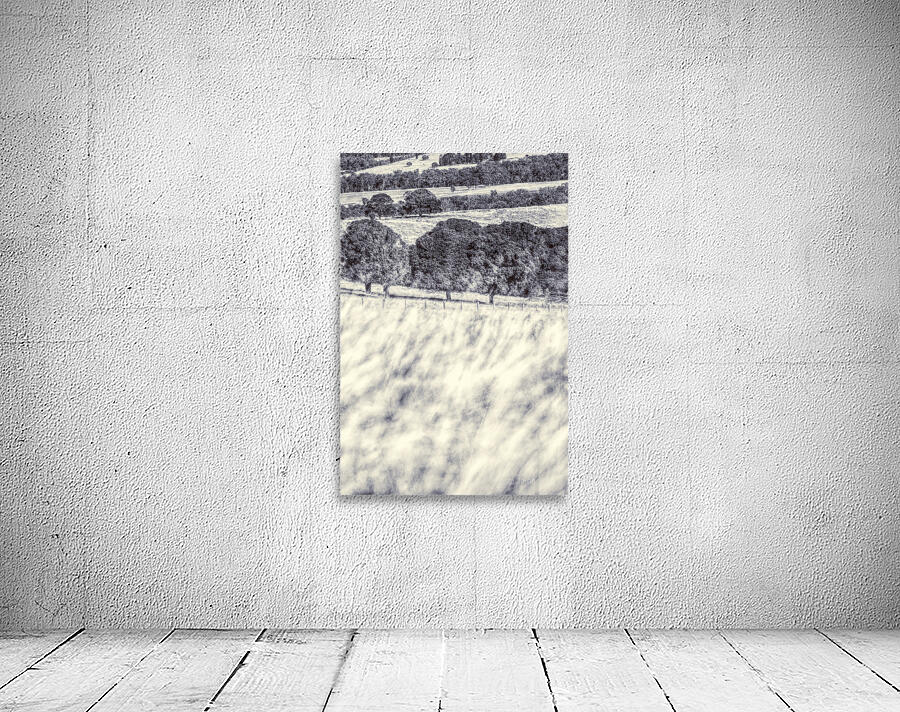 Grasslands Wall Preview