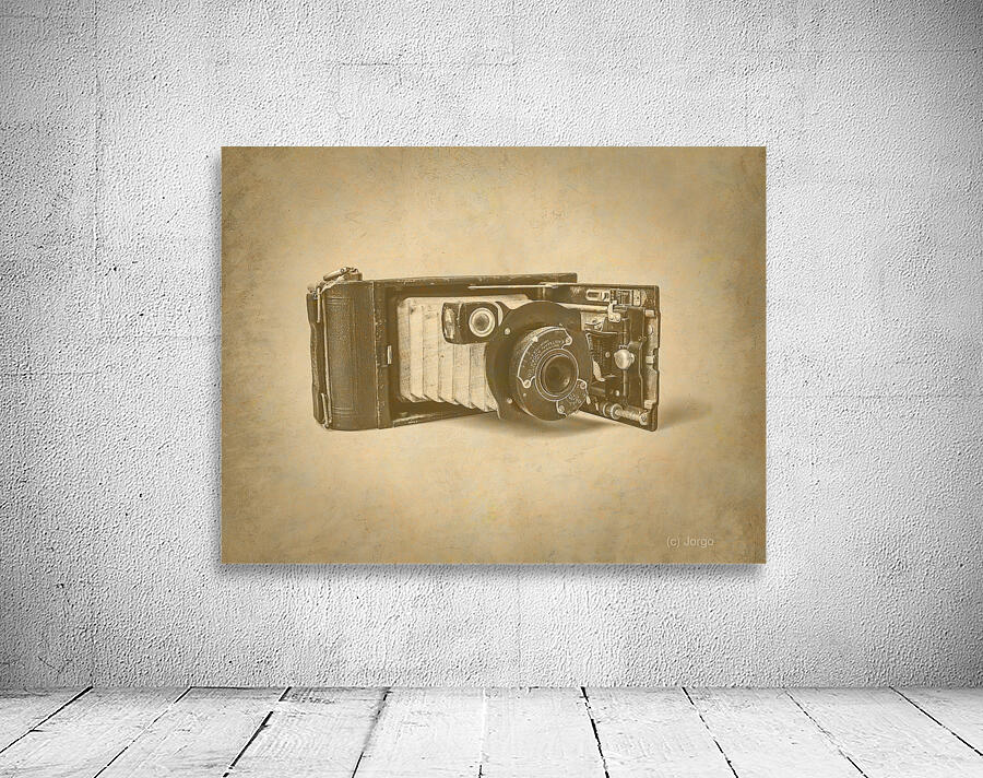 Unfolding history  Wall Preview