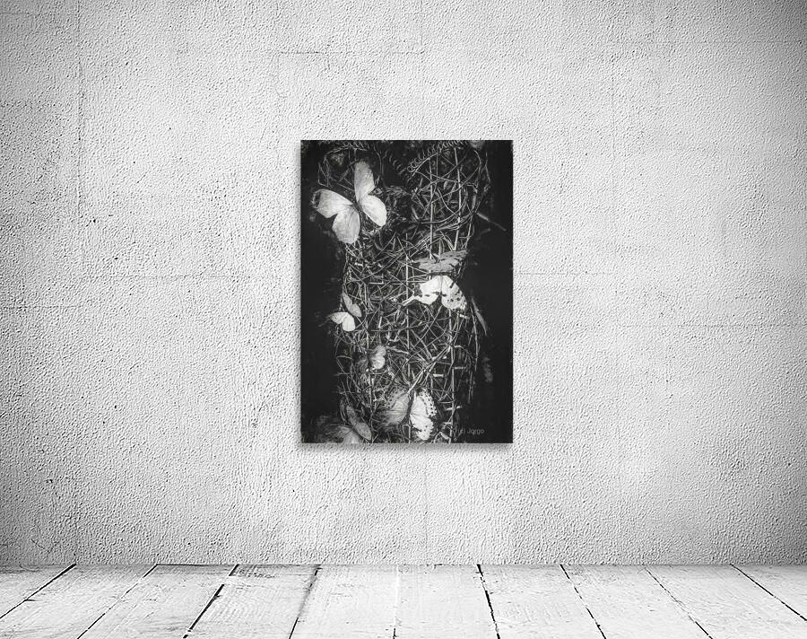 Desimilation  Wall Preview