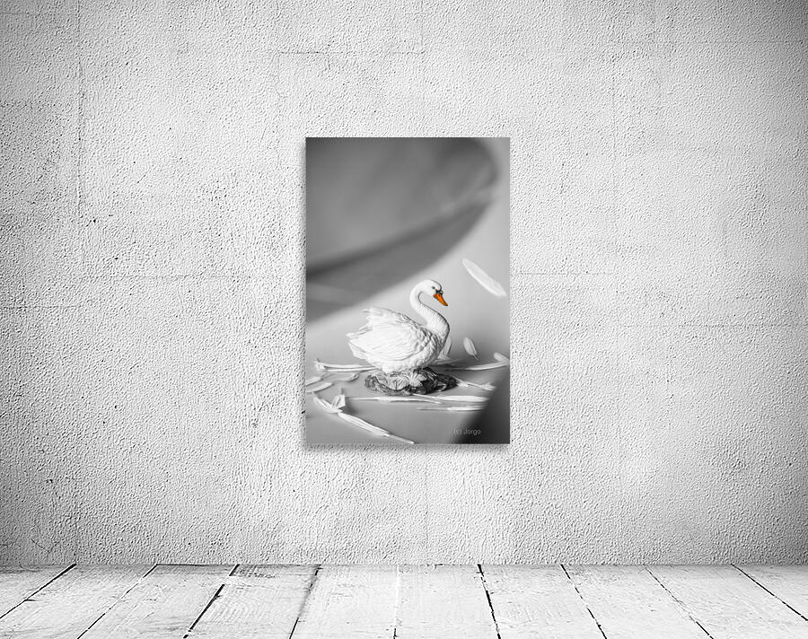 Obscured by floating feathers Wall Preview