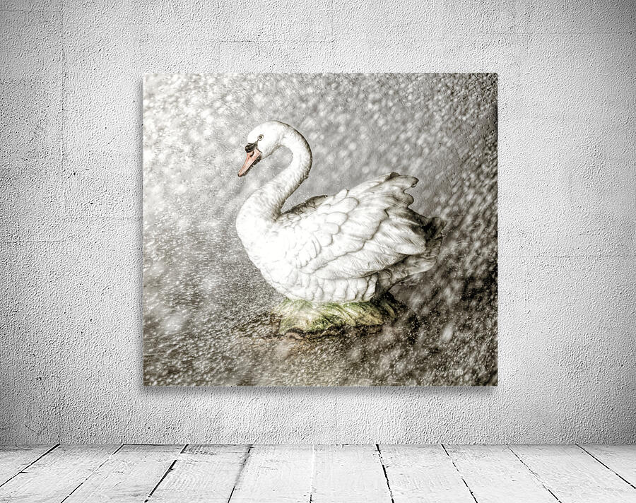 In the mist of rains Wall Preview