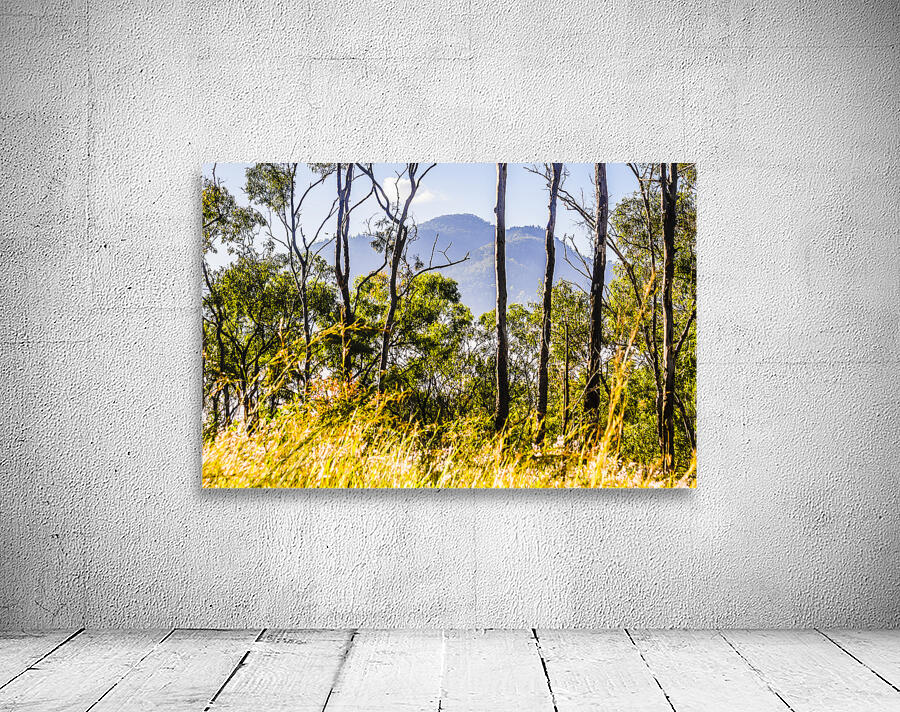 Mount Perry Wall Preview