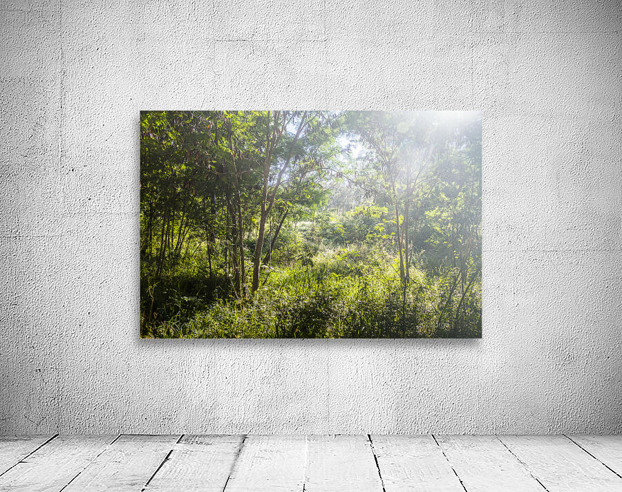 Green Wilds Wall Preview