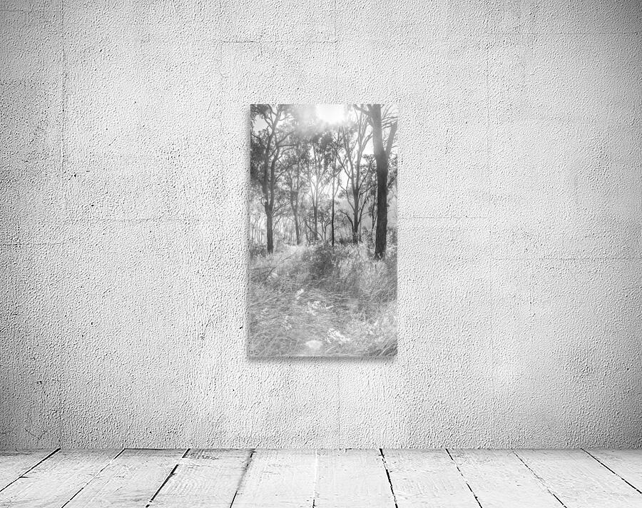 Grey Vertices  Wall Preview