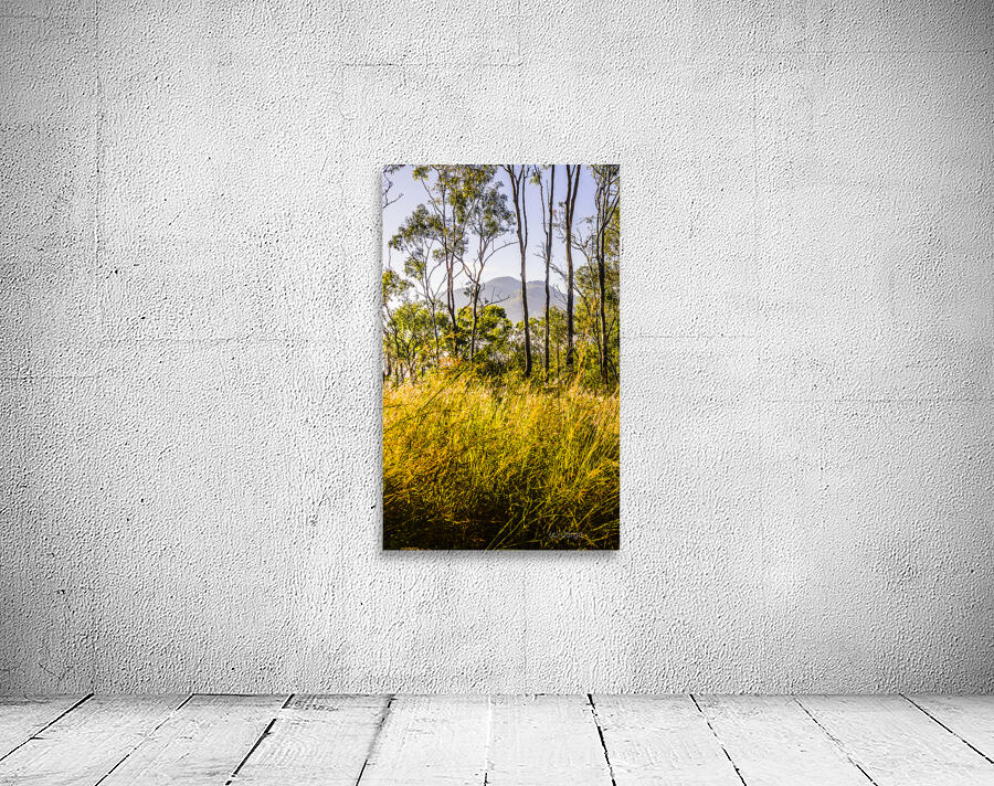 Heartland of Gold Wall Preview