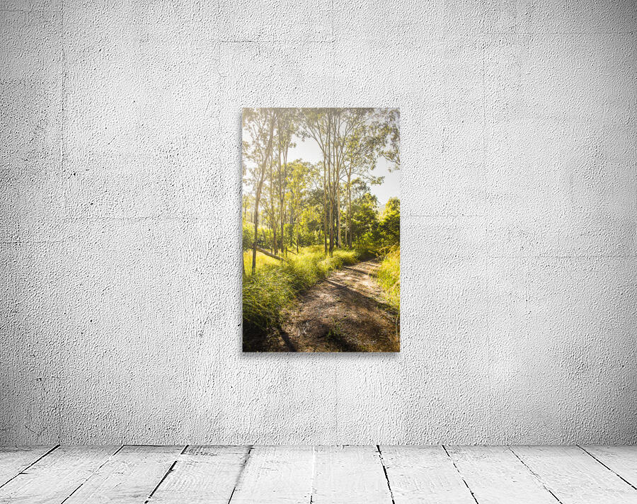 Wilderness Way Wall Preview