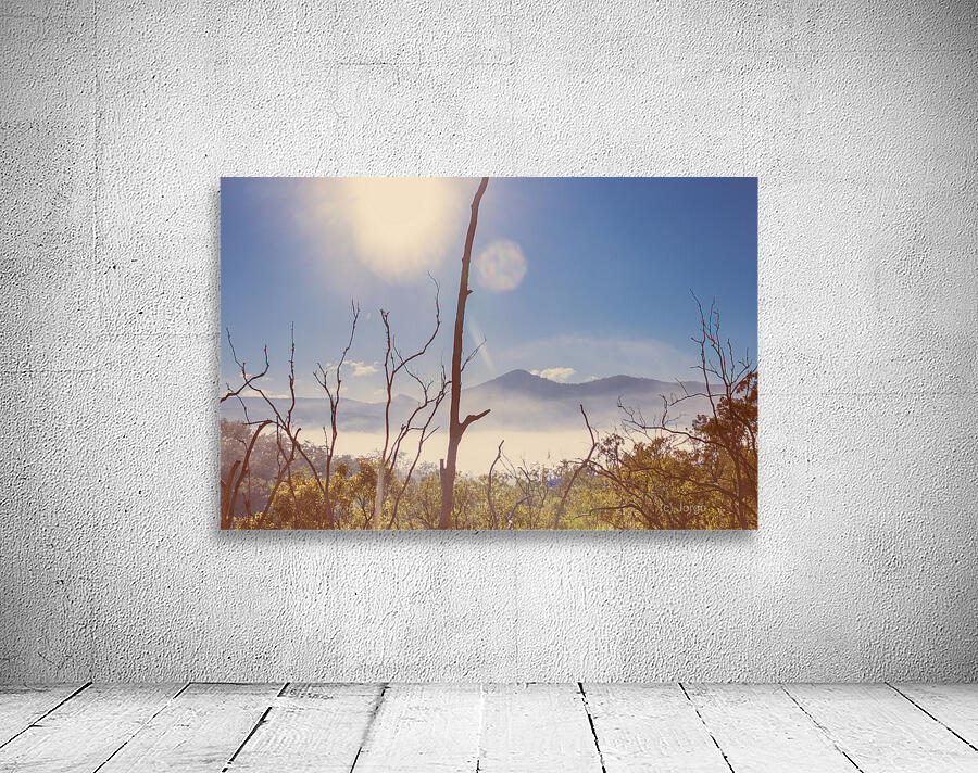 Gently Abounding Wall Preview