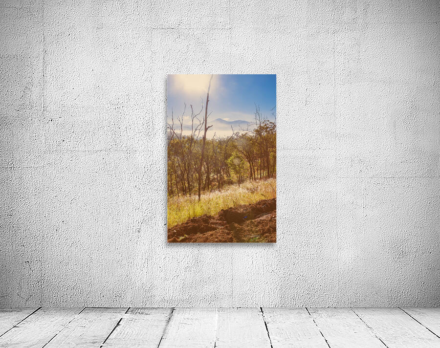 Misty Horizons Wall Preview