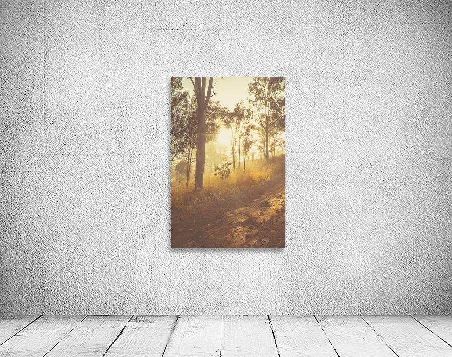 Dirt Road Dawn Wall Preview