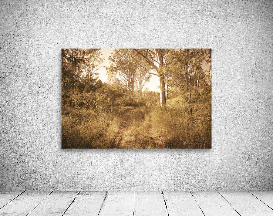 Autumn Wander Wall Preview