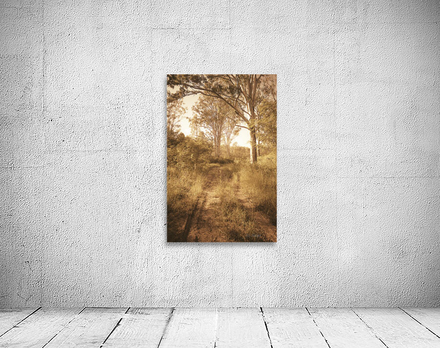 Through Fall Wall Preview