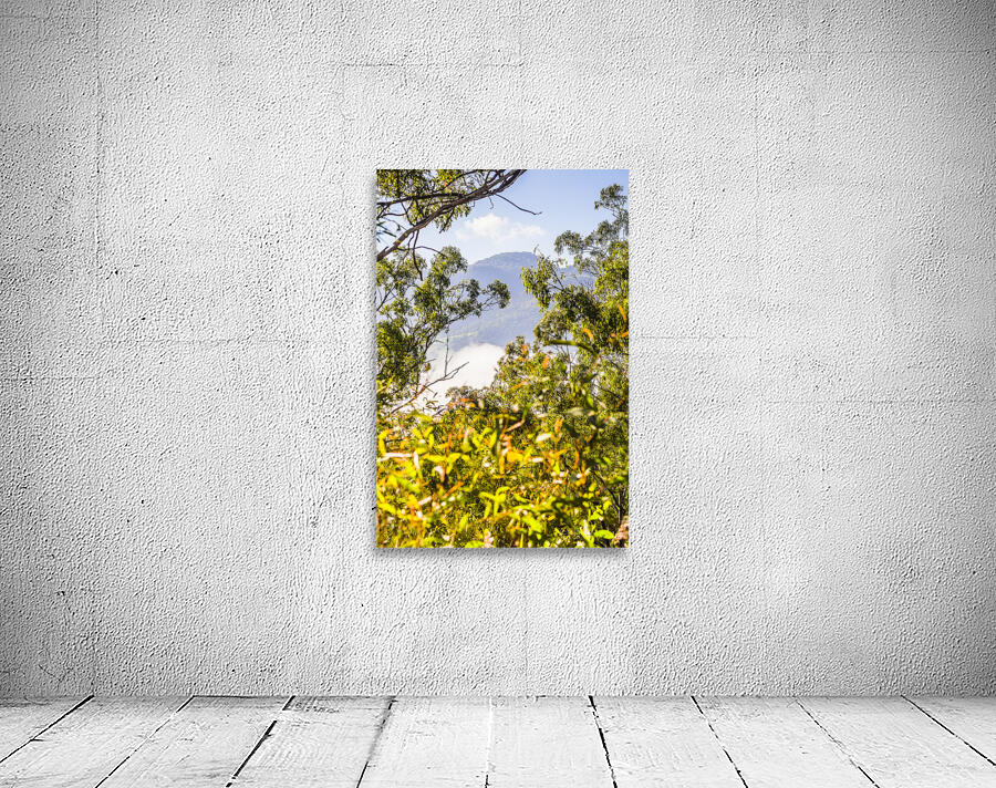 Glimpses Of Mt Perry Wall Preview