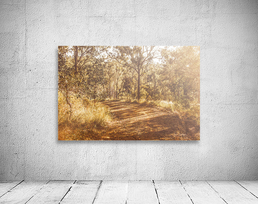 Wooded Trails Wall Preview