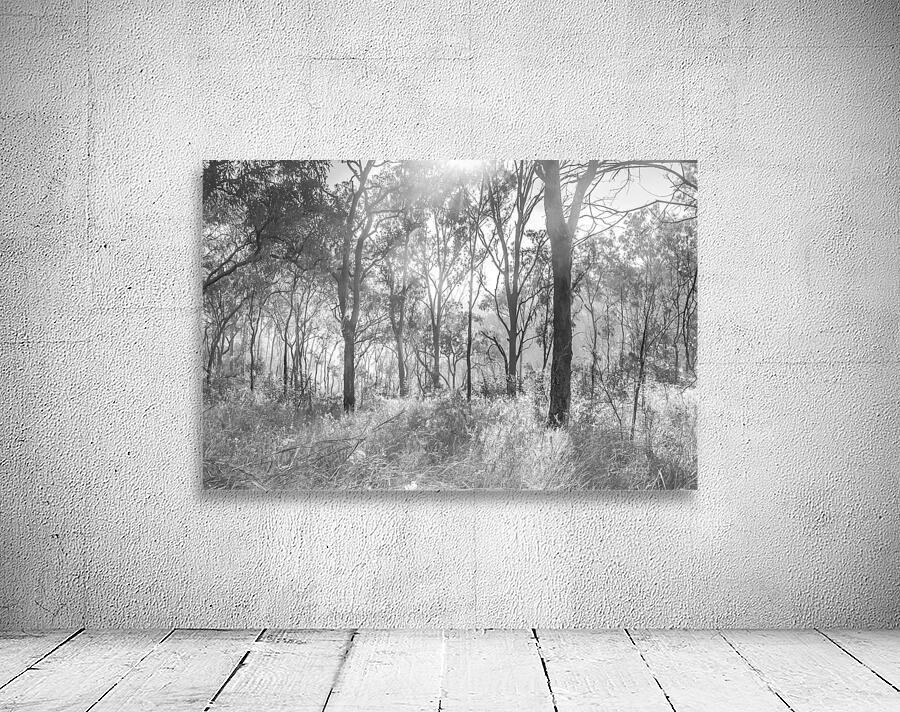 Inland Interplay Wall Preview