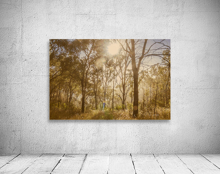 Sunflares And Foliage Wall Preview