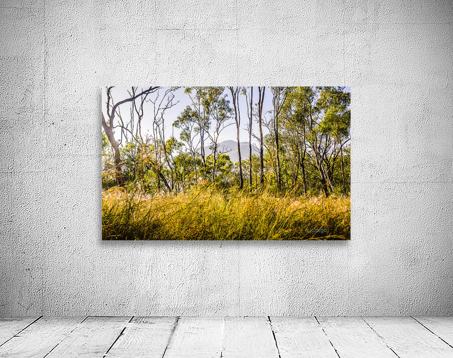 Golden views Wall Preview