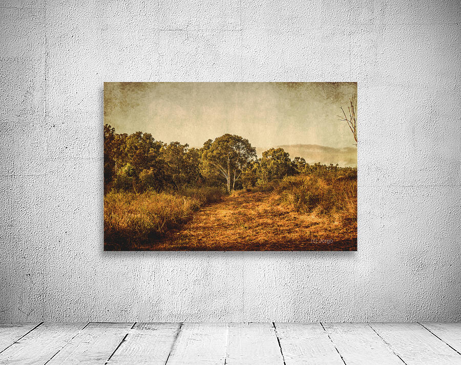 Wild Old Ways Wall Preview