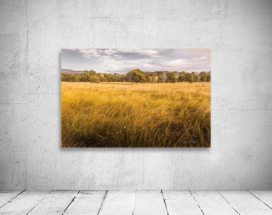 In The Outbacks Wall Preview