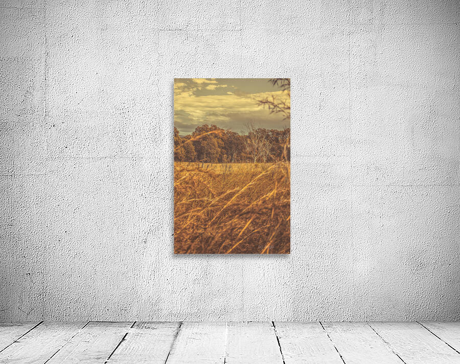 Wind And Fall Fields Wall Preview