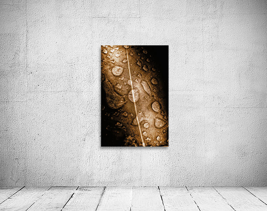 Fall In Rain Wall Preview