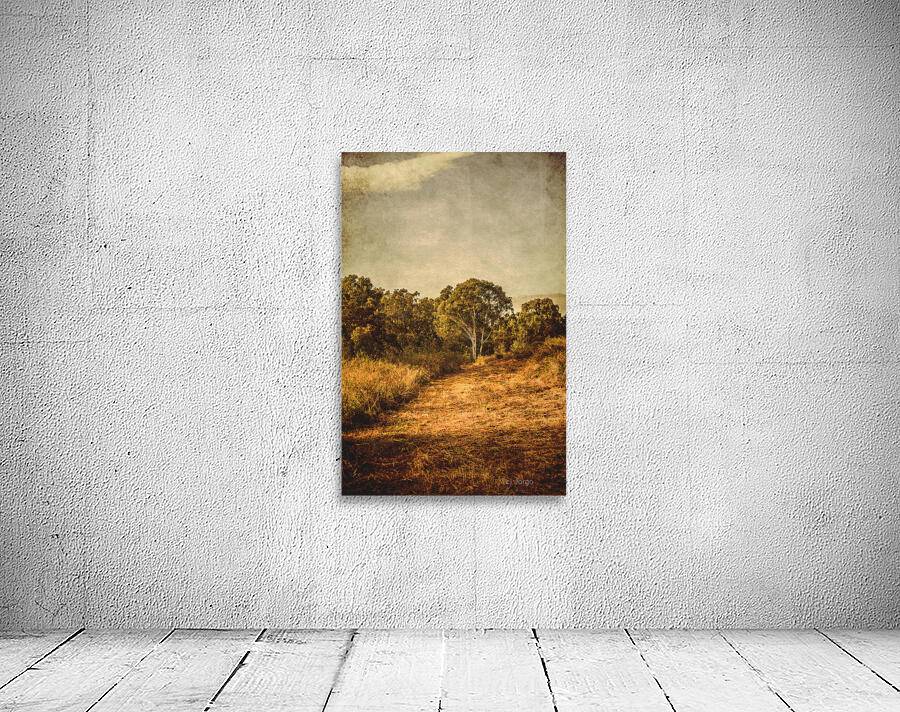 Country Weathered Wall Preview