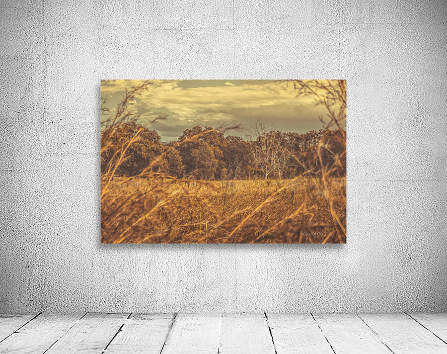 Wild Autumn Wall Preview