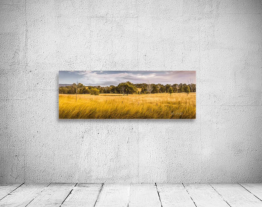 Wide Open Spaces Wall Preview