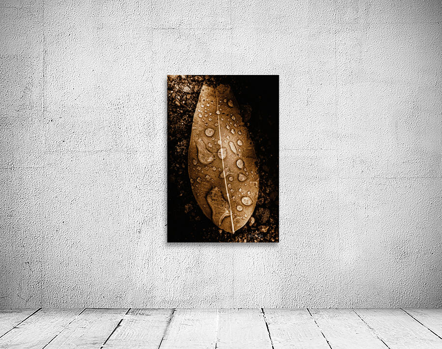 Autumn Rains Wall Preview