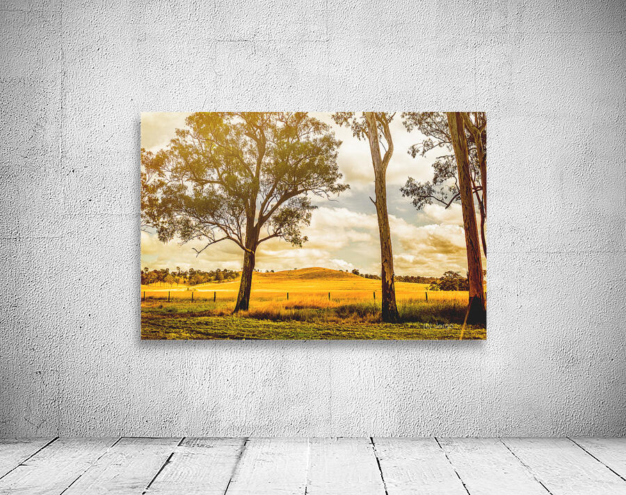 Gin Gin Golden Glow Wall Preview