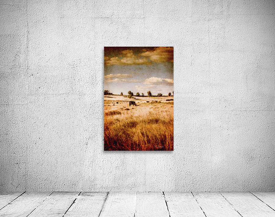 Weathered Farmstead  Wall Preview