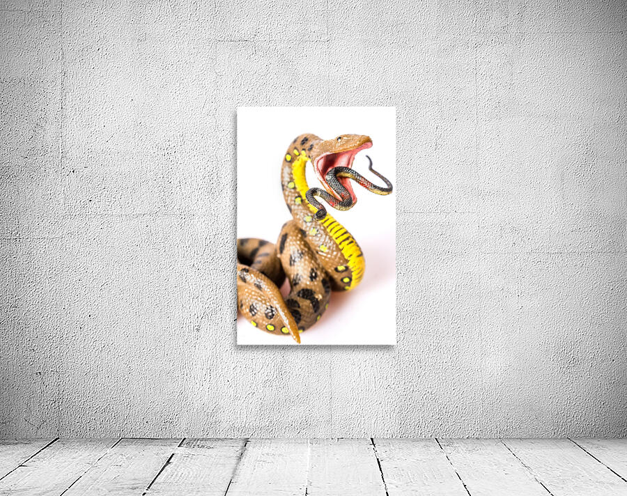 Snake vs Snake Wall Preview