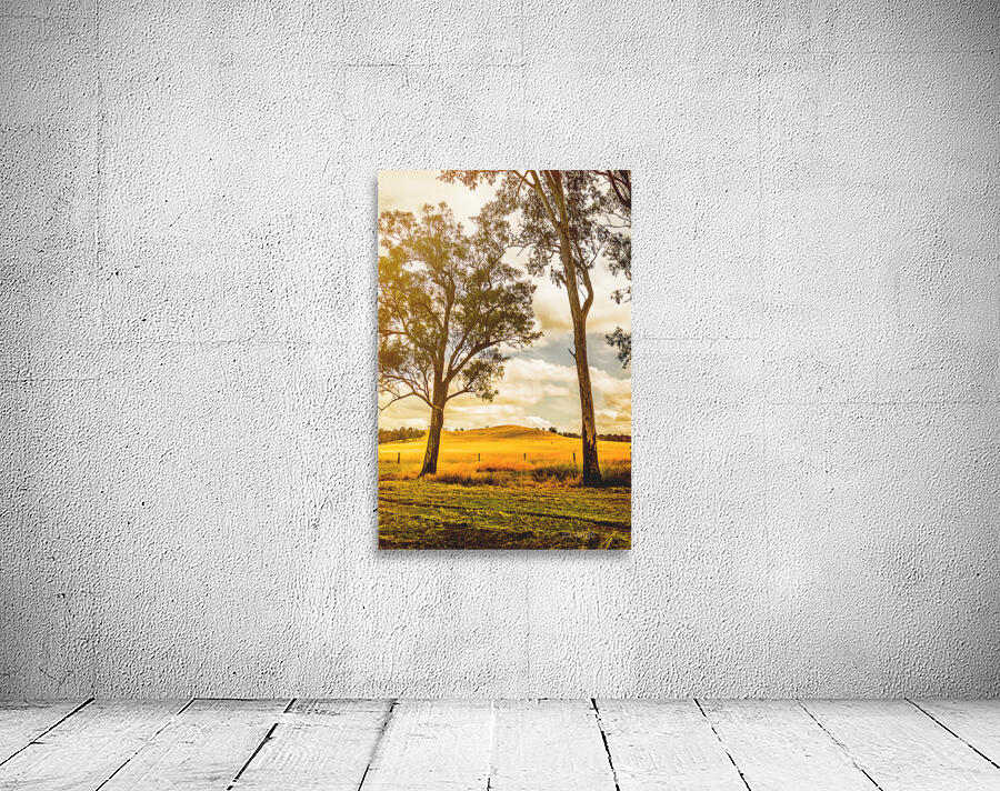 Outback Gold Wall Preview