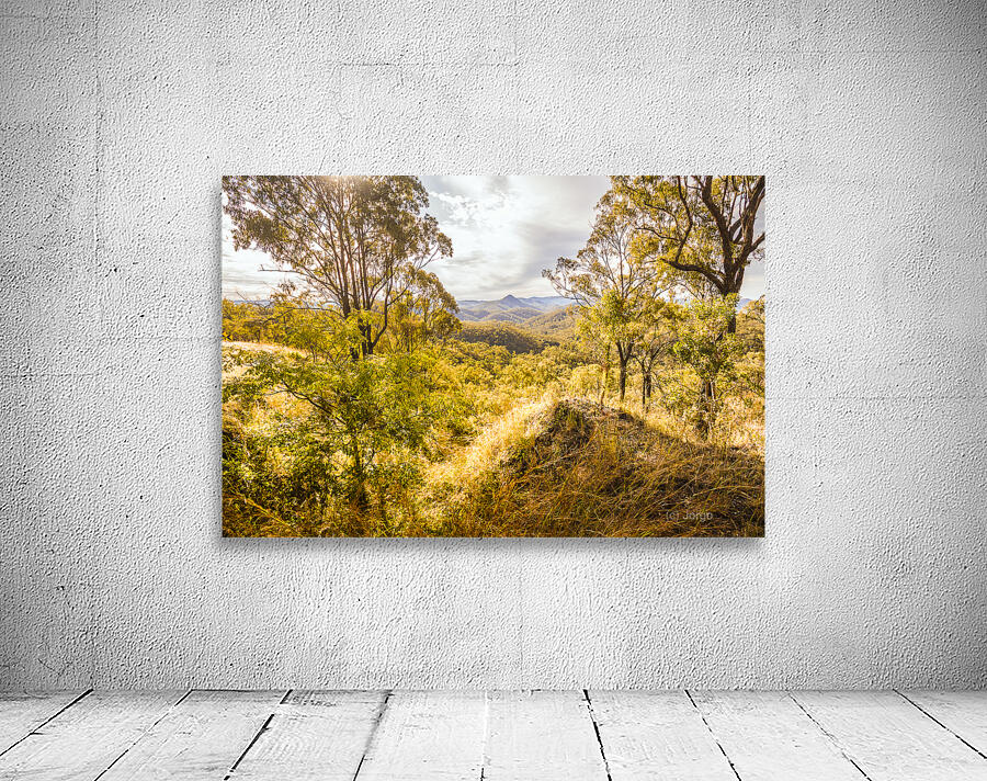 Valley Views Wall Preview