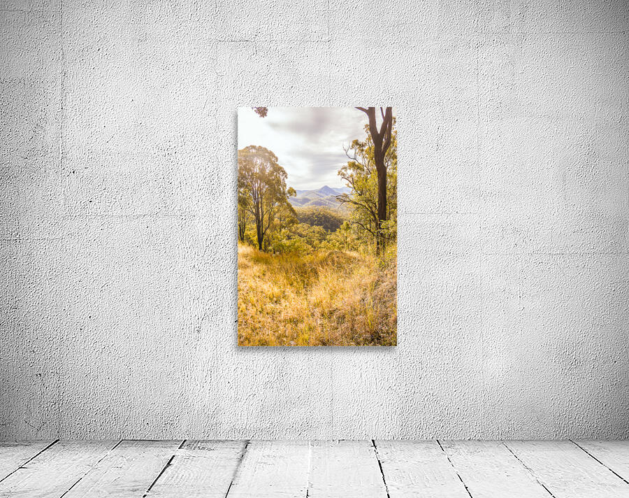 Queensland Country Wall Preview