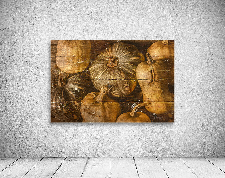 Squash Signboard Wall Preview