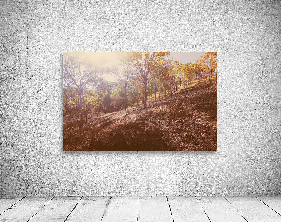 The Warmth Wall Preview