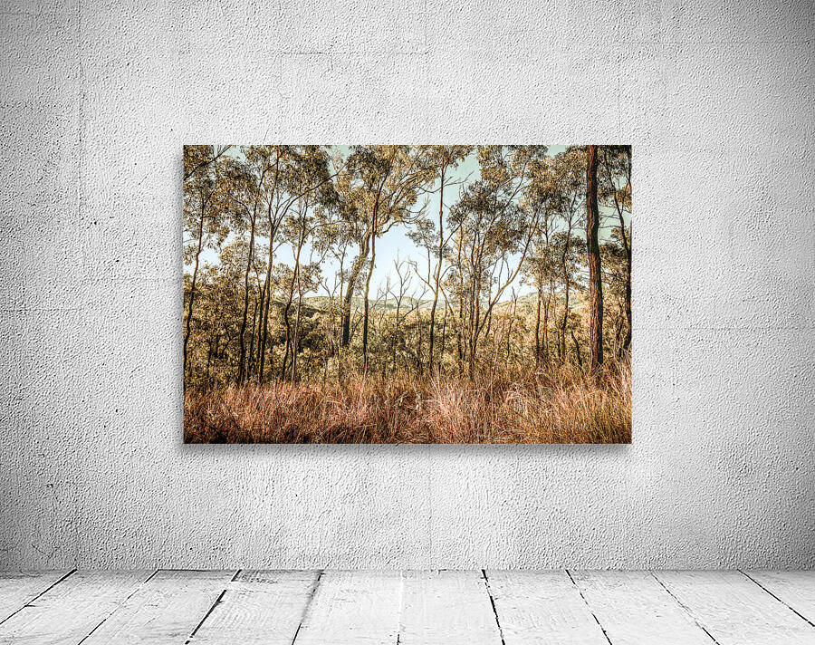 High Country Wall Preview