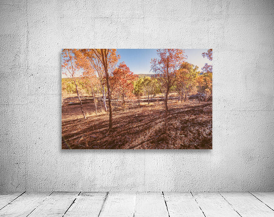 Road Outback Wall Preview