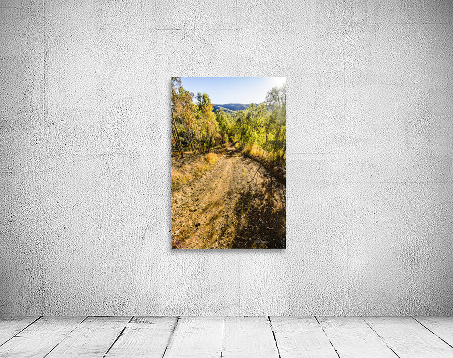 Rural Route Wall Preview