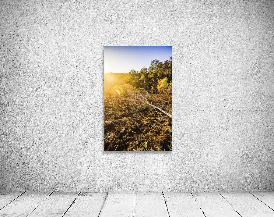 Country Clearing  Wall Preview