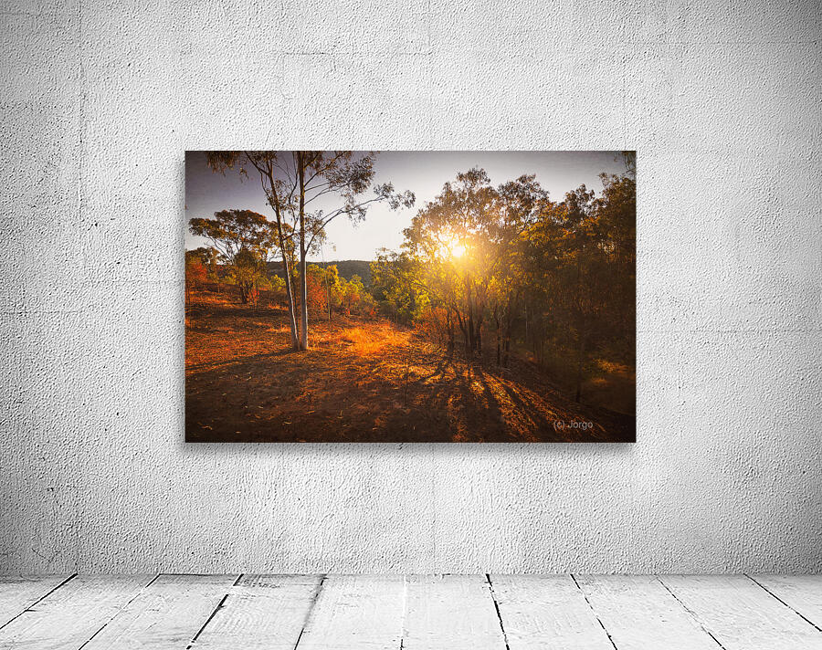 Rural Reds Wall Preview