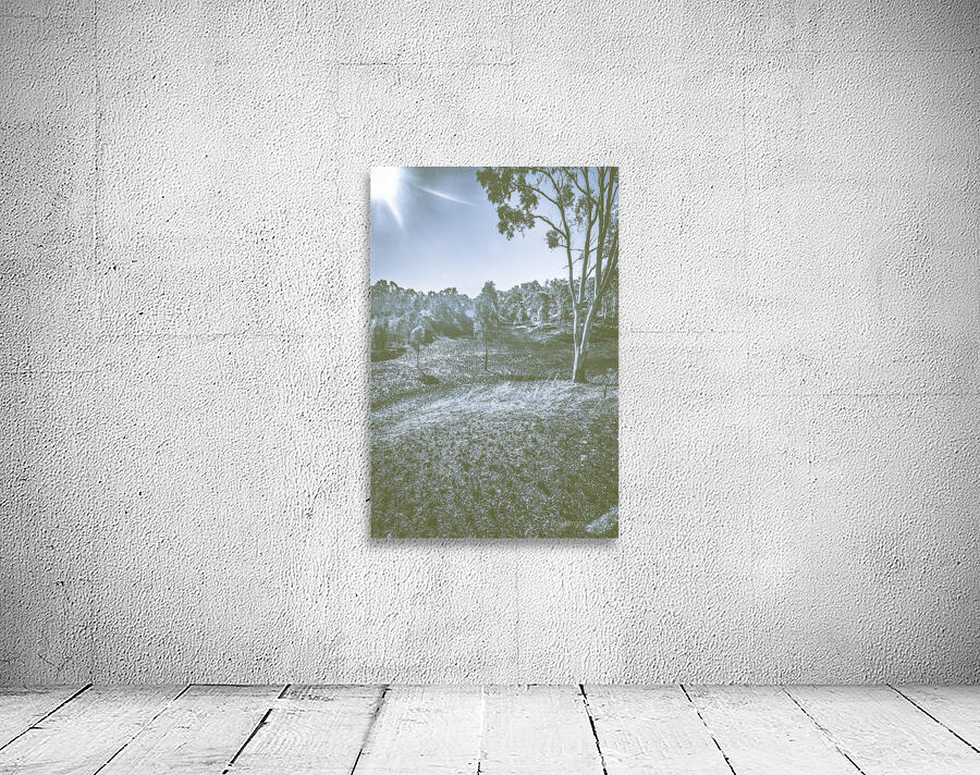 Barren Winterscape Wall Preview