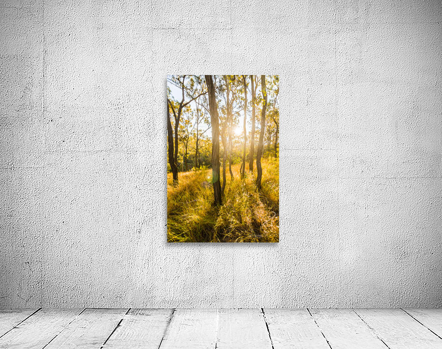 Wooded Light Wall Preview